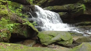 30 minutes of Parker Falls In Bankhead Forest