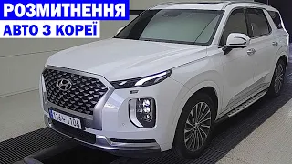 РОЗМИТНЕННЯ SantaFE. Sorento.Sportage. Carnival з Кореї