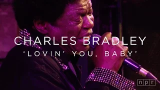 Charles Bradley: 'Lovin' You, Baby' SXSW 2016 | NPR MUSIC FRONT ROW