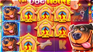 HITTING HUGE $50,000 DOG HOUSE SETUP... (Bonus Opening)