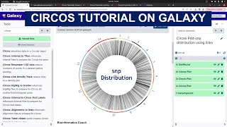 Snp distribution Visualization on Galaxy for Bioinformatics using Circos