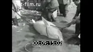 1960г. рыбколхоз Тихий Дон Ростовская обл
