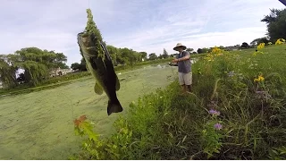 Frog Fishing In The Grass.. Ft. HECZWE & LunkersTV