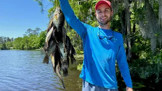 Panfish GALORE on Cypress Trees! (Catch & Cook)