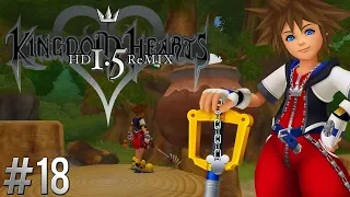 Ⓜ Kingdom Hearts HD 1.5 Final Mix ▸ 100% Proud Walkthrough #18: 100 Acre Wood III