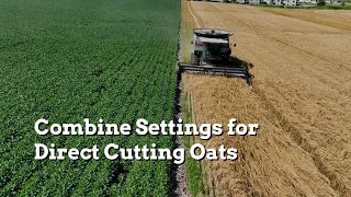 Combine Settings for Direct Cutting Oats - Practical Cover Croppers