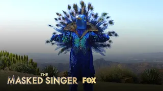 The Clues: Peacock | Season 1 Ep. 6 | THE MASKED SINGER