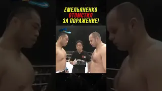 Емельяненко Отомстил За Обидное Поражение!