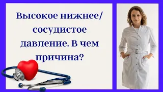 Высокое нижнее/сосудистое давление. В чем причина?