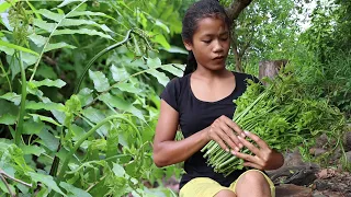 The delicious food from the Green plants ( Elephant nose plants ) Have you know and eat this plant?