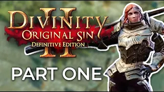 LOCAL IDIOT BECOMES AN ADVENTURER | Divinity: Original Sin II Highlights #1