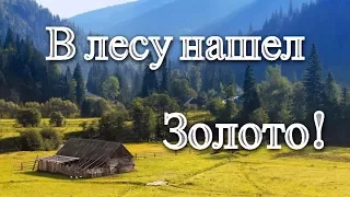 Нашел первое ЗОЛОТО СЕЗОНА!!!Настоящее ЗОЛОТО и СУПЕР НАХОДКИ! Коп 2017! В Поисках Клада и Сокровищ