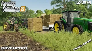 Harvest,baling and collecting bales | Animals on Ravenport | Farming Simulator 19 | Episode 24