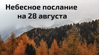 Небесное послание на 28 августа. Ваша сила