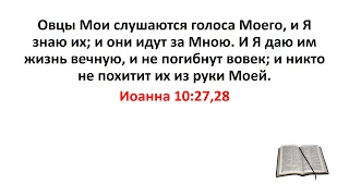 Библия, Новый Завет. Иоанна 10:27,28