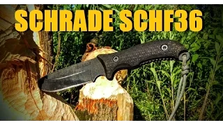 Recenzja noża SCHRADE SCHF36