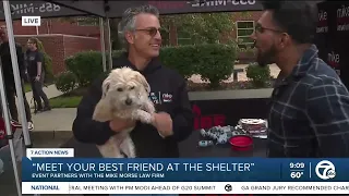 WXYZ's Faraz Javed Visited the Meet Your Best Friend Event for an On-Site Interview with Mike!