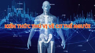 Kiến thức thú vị về cơ thể người - ai cũng cần xem qua để có sức khỏe tốt