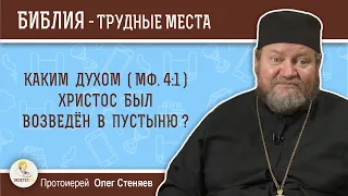 Каким Духом (Мф. 4:1) Христос был возведён в пустыню?  Протоиерей Олег Стеняев