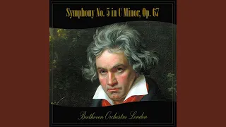 Symphony No. 5 in C Minor, Op. 67 - I. Allegro con brio