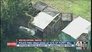 Jackson County Sheriff’s Office raids suspected puppy mill in Oak Grove