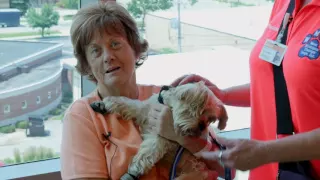 Animal Assisted Therapy at Mary Free Bed