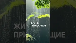 ЖИЗНЬ ПРИНОСЯЩИЕ