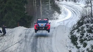 Thierry Neuville PET - Rally Sweden 2023