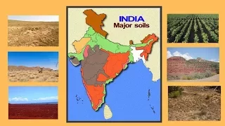 Soils of India