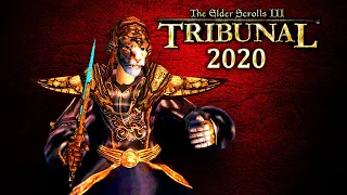 MORROWIND 2020 - TRIBUNAL Тёмное Братство и столица Морровинда Морнхолд! #1