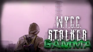 S.T.A.L.K.E.R. Anomaly GAMMA #8 (Стрим от 02.06.2023)