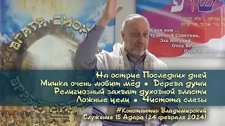 Врата Сиона-врата народов. Остриё Последних дней. Дерева души. Ложные цели.Чистота слезы, 24.02.2024