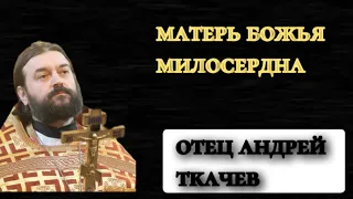 Богородица защитила монахов/отец Андрей Ткачев