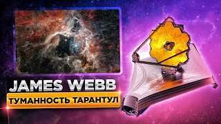 Телескоп Джеймс Уэбб сделал ошеломляющее изображение Туманность Тарантул