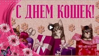 😺 🐱🐾 Праздник день кошек cat Day Супер песня Прикольное поздравление Красивая видео открытка 🐱🐾