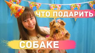 🎉 ЧТО ПОДАРИТЬ СОБАКЕ НА ДЕНЬ РОЖДЕНИЯ? | 25 интересных идей подарков щенку на День косточки