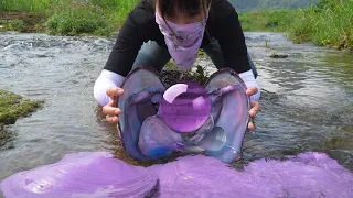 😱 The girl accidentally discovered a purple clam, with pearls shining like gemstones inside🔮🔮