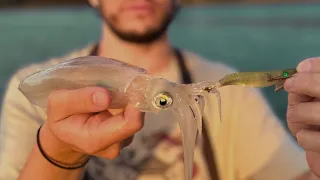 Squid Can't Resist this LURE!?! (Catch and Cook)