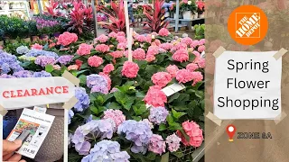 May 2024 Home Depot Flower Shopping | Hydrangeas, Clearance and More