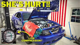 My CHEAP 2003 SVT Cobra has BIG PROBLEMS: Hurt Motor!!