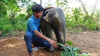 A baby elephant was adopted😉🤪🐘 | ആനക്കുട്ടിയെ ഉണ്ടാക്കിയപ്പോൾ!😉🐘