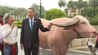 Thai PM meets $500,000 giant albino buffalo | AFP