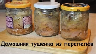 Домашняя тушенка из перепелов