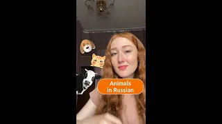 Animals in Russian