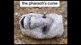 The Pharaohs curse meme compilation