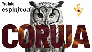 O Significado Espiritual da CORUJA🦉