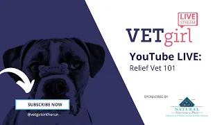 February 16, 2023: YouTube LIVE: Relief Vet 101
