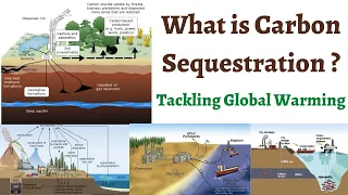 What is Carbon Sequestration & How it is done ? Ocean, Terrestrial, Geologic & Mineral Sequestration