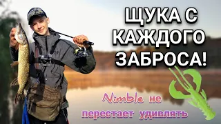 Щука с каждого заброса! Раздача на Crazy Fish Nimble