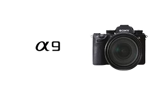 Introducing Sony’s new Alpha 9 camera – the game-changer